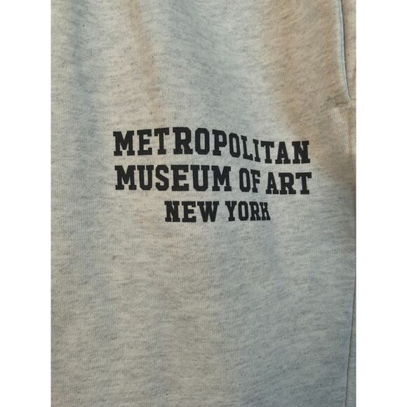 Champion Fighting Illinois Metro Museum of Art New Year Men's Gray Joggers - Picture 3 of 10